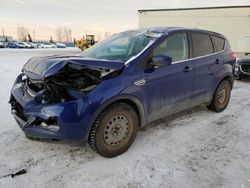 Salvage cars for sale at Rocky View County, AB auction: 2014 Ford Escape SE