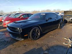 Dodge Challenger salvage cars for sale: 2012 Dodge Challenger R/T