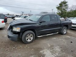 2008 Dodge Dakota SXT en venta en Lexington, KY