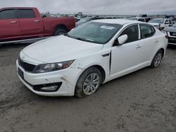 Salvage cars for sale from Copart Earlington, KY: 2013 KIA Optima LX