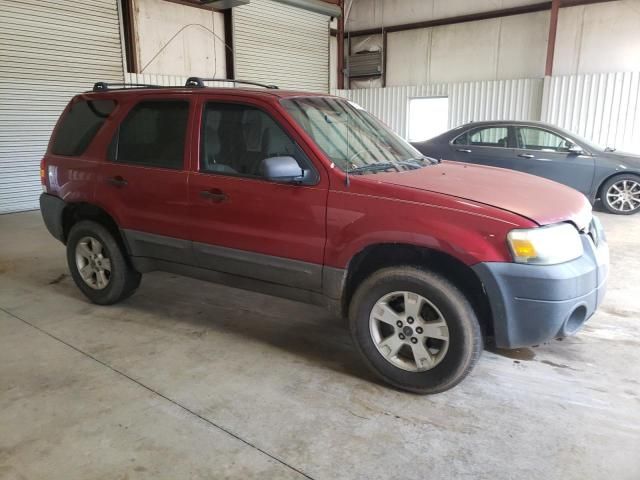 2006 Ford Escape XLT