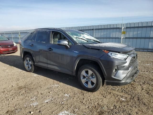 2019 Toyota Rav4 XLE