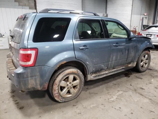 2010 Ford Escape Limited