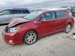 Lexus salvage cars for sale: 2010 Lexus HS 250H