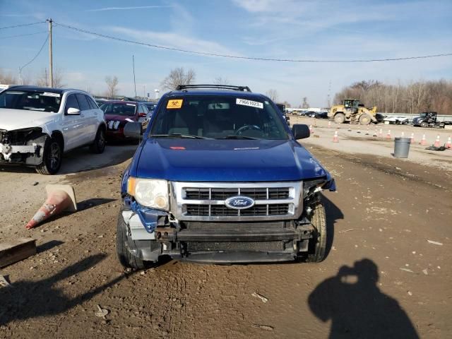 2011 Ford Escape XLT