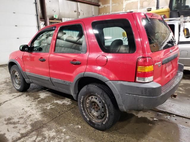 2001 Ford Escape XLT