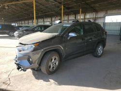 Salvage cars for sale at Phoenix, AZ auction: 2019 Toyota Rav4 XLE