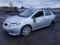 Salvage cars for sale from Copart Columbia Station, OH: 2009 Toyota Corolla Base