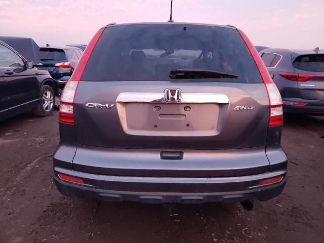 2010 Honda CR-V EXL