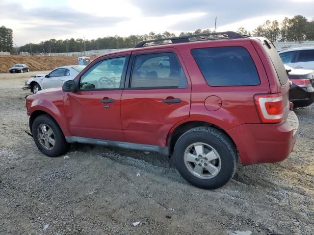 2011 Ford Escape XLT