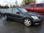 2005 Lexus LS 430