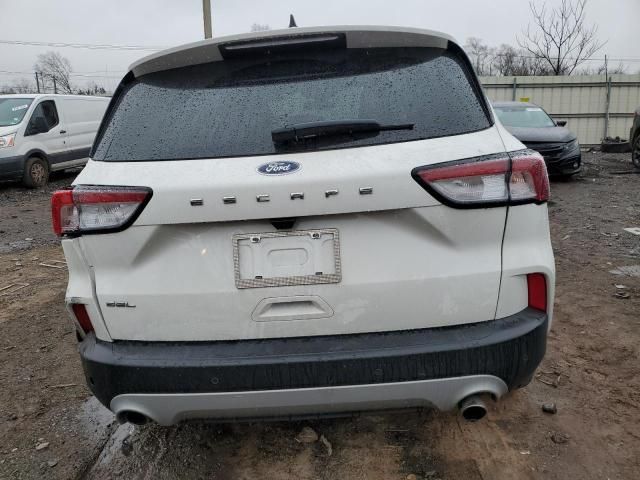 2021 Ford Escape SEL