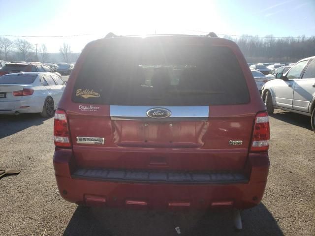 2012 Ford Escape Limited