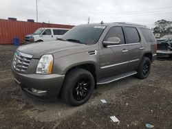 Salvage cars for sale at Homestead, FL auction: 2012 Cadillac Escalade Luxury