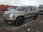 2012 Cadillac Escalade Luxury