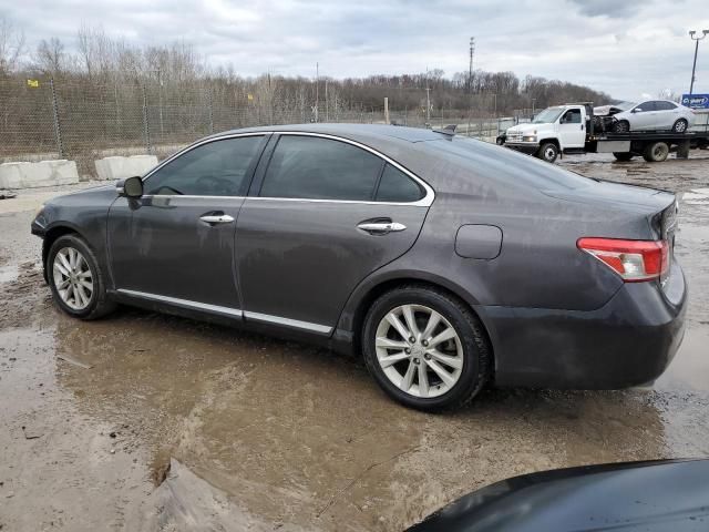 2010 Lexus ES 350