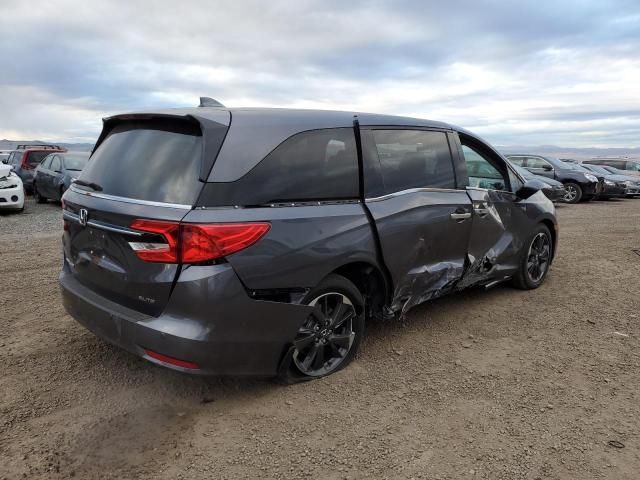 2024 Honda Odyssey Elite