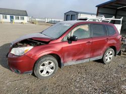 Salvage cars for sale at Helena, MT auction: 2014 Subaru Forester 2.5I