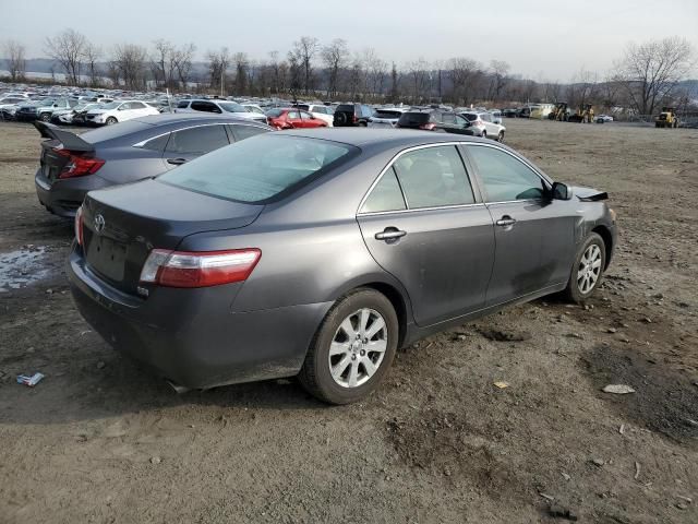 2009 Toyota Camry Hybrid