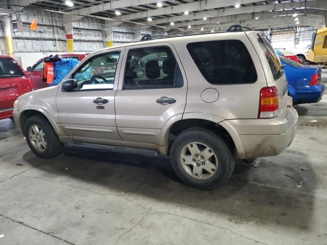 2007 Ford Escape XLT