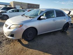 Toyota salvage cars for sale: 2010 Toyota Corolla Base