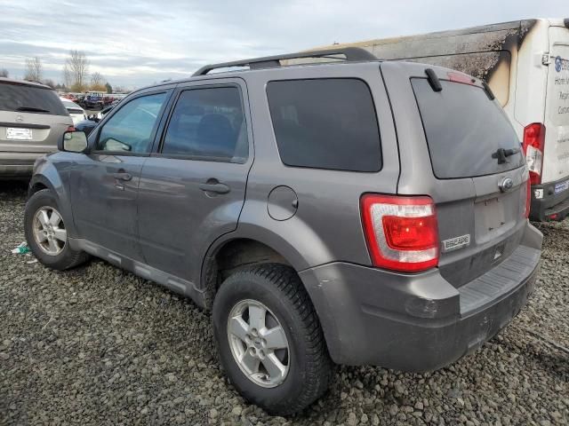 2010 Ford Escape XLT