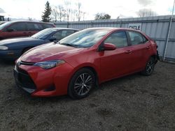 Salvage cars for sale from Copart Bowmanville, ON: 2018 Toyota Corolla L