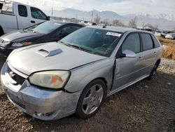 Salvage cars for sale from Copart Magna, UT: 2006 Chevrolet Malibu Maxx SS