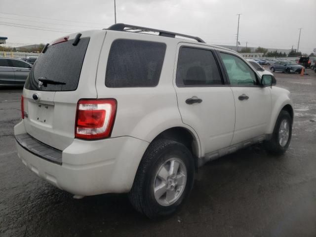 2009 Ford Escape XLT