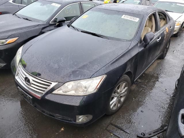 2010 Lexus ES 350