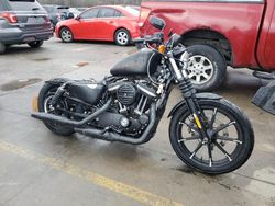 Salvage motorcycles for sale at Louisville, KY auction: 2020 Harley-Davidson XL883 N