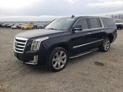Cadillac Escalade Vehiculos salvage en venta: 2020 Cadillac Escalade ESV Luxury