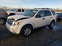Salvage cars for sale at Louisville, KY auction: 2011 Ford Escape XLT
