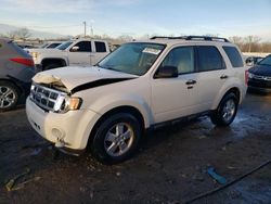 Ford Escape xlt salvage cars for sale: 2011 Ford Escape XLT