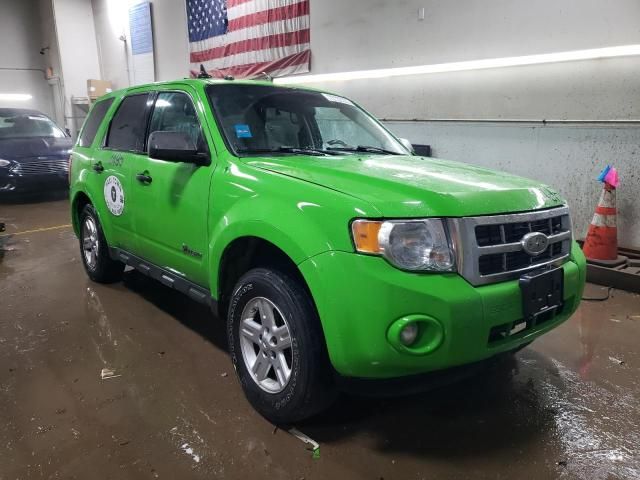 2010 Ford Escape Hybrid