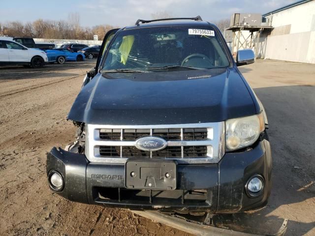 2009 Ford Escape XLT