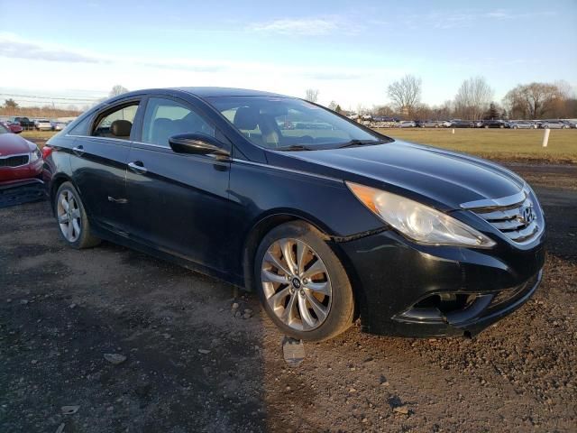 2013 Hyundai Sonata SE