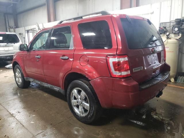 2012 Ford Escape XLT