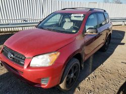 Salvage cars for sale at Bridgeton, MO auction: 2010 Toyota Rav4