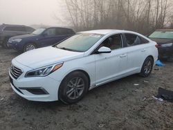 Vandalism Cars for sale at auction: 2016 Hyundai Sonata SE