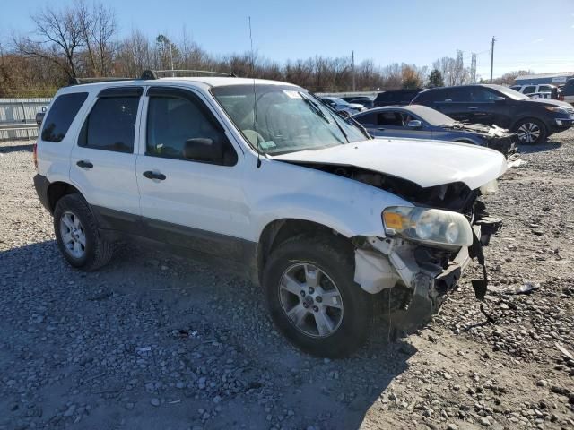 2006 Ford Escape XLT