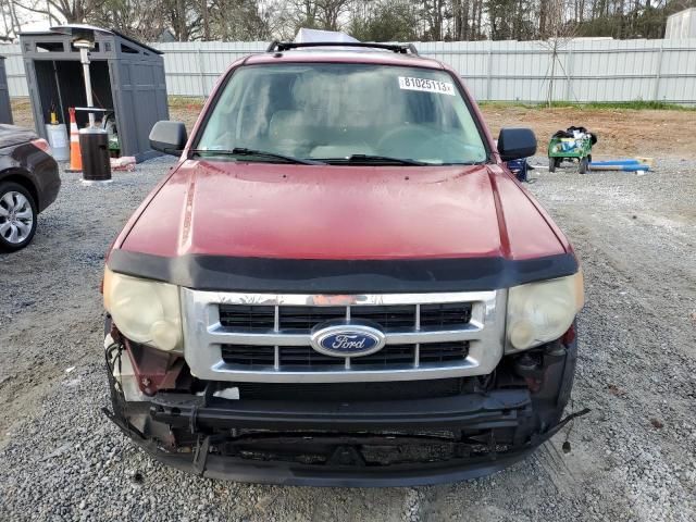 2011 Ford Escape XLT