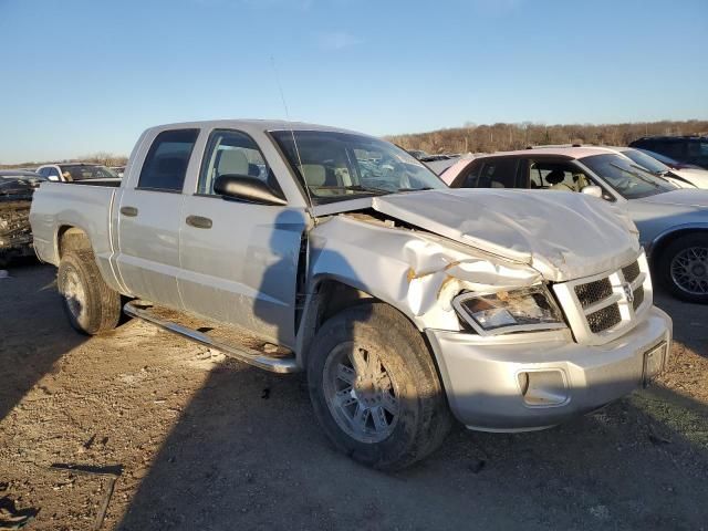 2011 Dodge Dakota SLT