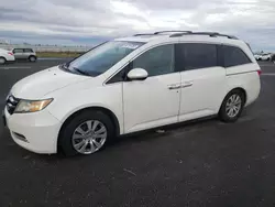 Salvage cars for sale at Sacramento, CA auction: 2016 Honda Odyssey EXL