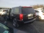 2008 Cadillac Escalade Luxury