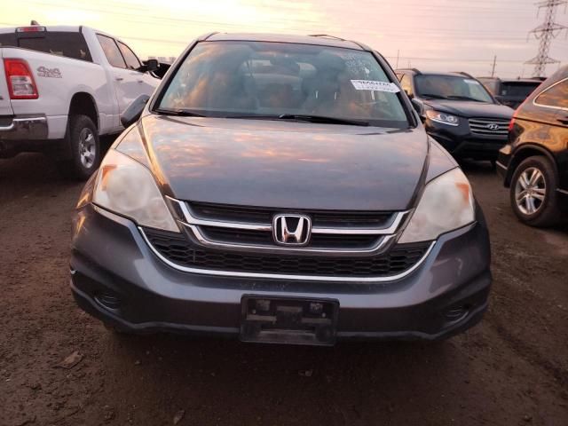 2010 Honda CR-V EXL