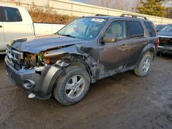 Vehiculos salvage en venta de Copart Davison, MI: 2009 Ford Escape XLT