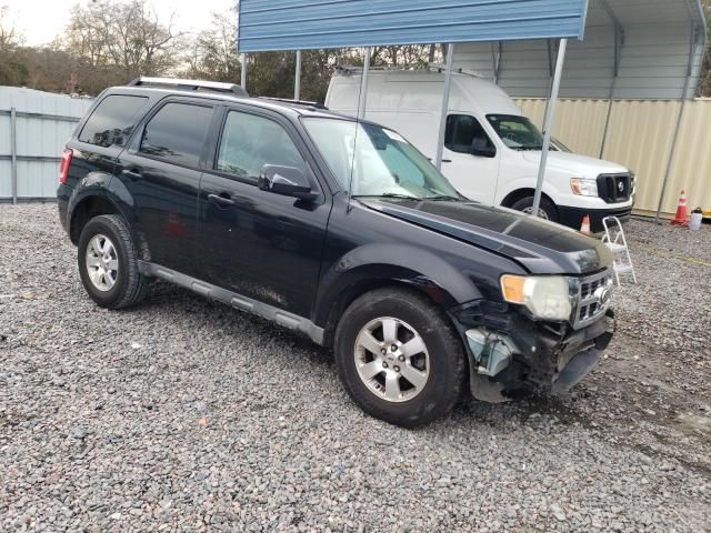 2010 Ford Escape Limited