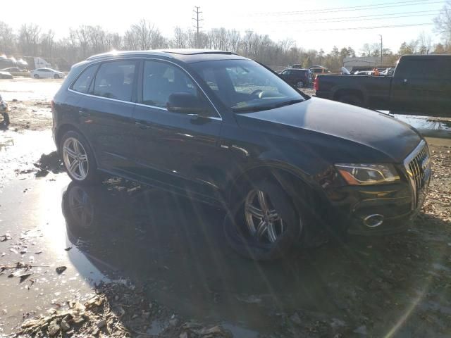 2010 Audi Q5 Premium Plus