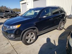 Salvage cars for sale at Gaston, SC auction: 2013 KIA Sorento EX